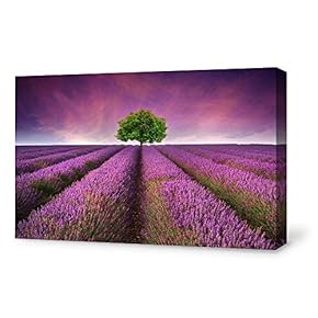 for Living Room Bedroom Home Artwork Paintings Romantic Lavender