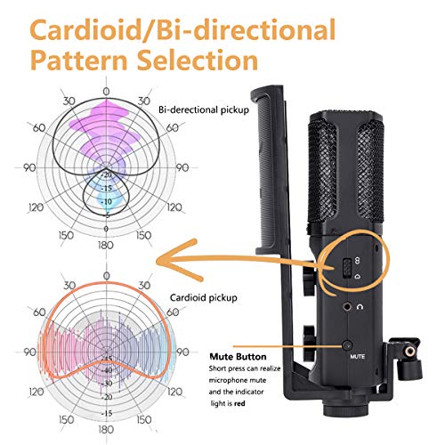 Comica STM-USB Versatile Metal Condenser Cardioid Microphone for USB C Smartphone and Computer, Studio Recording Microphone for Live-Streaming, Podcaster,Gaming, Studio Vocal, Online Course
