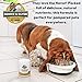 Bonnie & Clyde Hip & Joint Support for Dogs and Cats. Contains Natural Green Lipped Mussel, Collagen, Glucosamine and Chondroitin. (4.55oz)