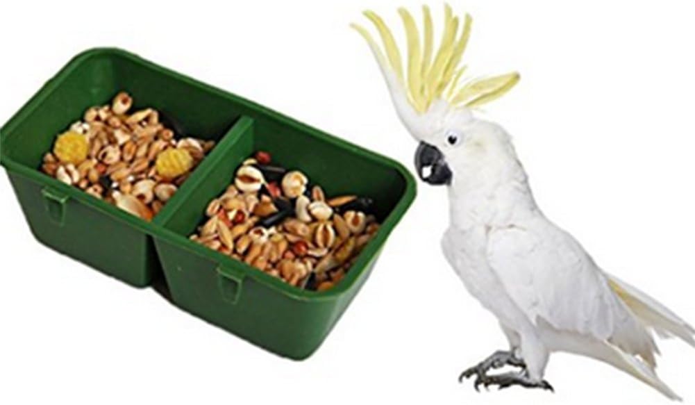 TOP 10 Mejores SEMILLAS PARA GUACAMAYOS | (Agosto 2021)