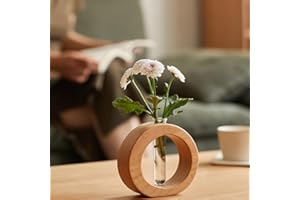 Modern Minimalist Hydroponic Vase with Stand, Propagation Station, Single Stem Bud Vase for Flowers, Aesthetic Scandi Decor f