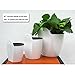 Rely2016 Self Watering Hanging Flower Planter Pots Plant Pot Flowerpot, Round Shape Wall Mounted Plastic Indoor Outdoor Flowerpots Equipped with Removable Basket and Cotton Rope (130# Medium)