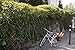 Nantucket Bicycle Basket Co. Cisco Pannier Basket with Hooks, Honey