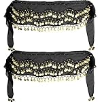 2 Pieces Belly Dance Skirts Hip Skirt Lady's Coin Belly Skirts Hip Scarf for Women Dancing Party Clothing Supplies 2 Pieces Belly Dance Skirts Hip Skirt Lady's Coin Belly Skirts Hip Scarf for Women Dancing Party Clothing Supplies