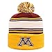 Top of the World Men's Knit Ambient Warm Team Icon Hat