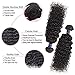 Brazilian Curly Human Hair 10A Unprocessed Curly Hair Wig Short Bob Curly Hair Lace Front Free Part Wig