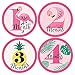 Pink Flamingo - Party Like a Pineapple - Tropical Summer Monthly Baby Sticker Set - Baby Shower Gift Ideas - 12 Piece