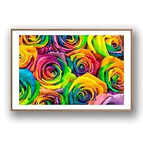 Framed Canvas Wall Art for Living Room, Bedroom Rose Flowers Canvas Prints for Modern Home Decoration Ready to Hang - 16"x24" inches