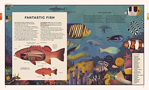 Curiositree: Natural World: A Visual Compendium of Wonders from Nature - Jacket unfolds into a huge wall poster!