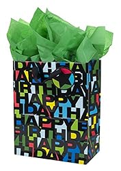 Hallmark 13" Large Birthday Gift Bag with Tissue
