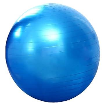 zbsport balón Suiza de Gym 65 cm con bomba. - El mejor para ...