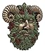 Ebros The Horned God Summer Harvest Celtic Greenman Wall Decor 6