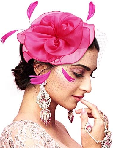 Hotvivid Fascinator for Women Tea Party Wedding Headband Mesh Feather Flower Hair Clip