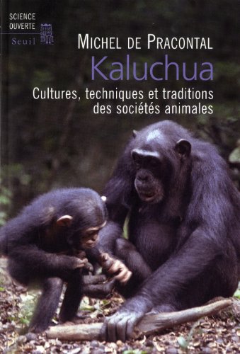 Kaluchua