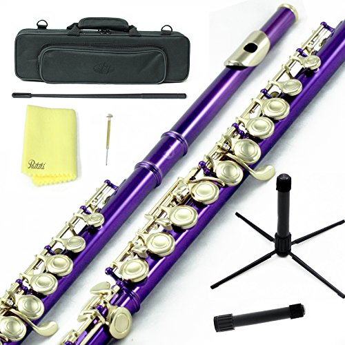 image for Sky Music Sky C Flute with Lightweight Case, Cleaning Rod, Cloth, Join