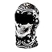 Balaclava Ski Mask Premium Motorcycle Face Mask Outdoor Neck Breathable Tactical Hood,Snake Skull