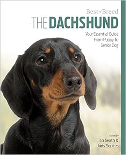 amazon dachshund