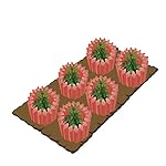 Wall Water Plant Protector, Plant Cover, Season Extender, Gardening Teepee, Red, 12 Pack