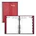 Brownline 2020 Planner, CoilPro Daily Journal, Ruled 1 Day/Page, Red, 8.25 x 5.75 Inches, CB389C.RED-20