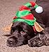 Clever Creations Puppy Dog Christmas Elf Hat Outfit, Festive Holiday Pet Costume, One Size Fits Most