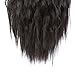 AMELI Kinky Straight Synthetic Ponytail Clip in Hair Extensions One Piece Soft Silky for Women Fashion and Beauty (20inch-Claw, 1B)