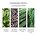 Molton Brown Re-charge Black Pepper Bathing Gift Set