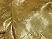 Gold Floral Satin Jacquard Brocade Fabric 60