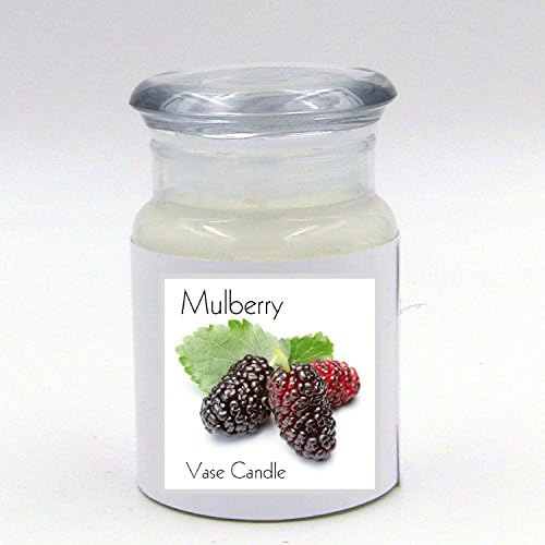 2 Mulberry Jars | Vase Candle | 60 Hour Burn Time | Premium Soy Paraffin Wax Blend | Highly Scented | Self-Trimming Wick