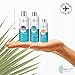 Oily Skin Control and Adult Acne Regimen. 3-Step System Includes Cleanser, Mattifying Moisturizer and Toner with Tea Tree & Salicylic Acid. Sample Set. Best Hormonal Acne Treatment.