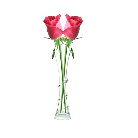 Buy Chinashowcreative Spiral Winding Glass Vase Decoration Modern