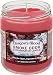 Smoke Odor Exterminator 13oz Jar Candle, Dragon's Blood, 13 oz