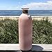 WHW Whole House Worlds Beach Chic Sea Glass Vases, Set of 3, Rope Wrapped, Shell Pendant, White, Mauve and Amber, 10 1/4 Inches Tall