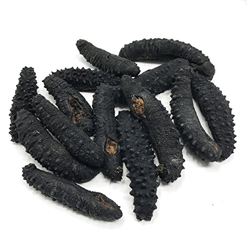 SB Organics Black Pin Large - Wild Caught Sea Cucumber Dried All Natural Nutritious - 8 oz.