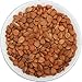Apricot Kernels/Seeds (1 Pound / 454 grams) Hunza Gold Bitter Certified Organic Raw