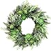 Realistic Artificial or Fake Succulent Wreath - 22 Inches, Indoor-Outdoor Green Wreath with Succulents & Real Twig Back for Front Door or Wall- Hanging Farmhouse Decor by Naturally Home Accents