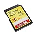 SanDisk Extreme 16GB UHS-I/U3 SDHC Memory Card Up To 60MB/s Read-SDSDXN-016G-G46 [Older Version]