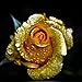 Wintefei 150Pcs/1 Pack Rare Golden Rose Flower Seeds Garden Yard Bonsai Home Decoration