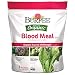 Burpee Organic Blood Meal Fertilizer, 3 lb