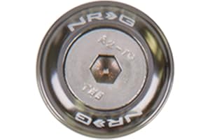 NRG Innovations FW-110GM Gun Metal Fender Washer Kit, Set of 10 (Rivets for Metal)