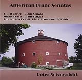 AMERICAN PIANO SONATAS                             image