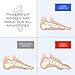 PowerStep Pinnacle Plus Ball of Foot Pain Relief Orthotics - Shoe Inserts for Metatarsalgia, Arch Support & Morton's Neuroma Pain Relief - Made in USA Insoles with Metatarsal Pad (M 11-11.5)