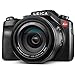 Leica V-Lux (Typ 114) 20 Megapixel Digital Camera with 3-Inch LCD (18194)