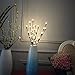BABALI Lighted Artificial Branches 20 Inches 48 Led Battery Operated Decorative Branches Willow Lighting Twig Branch Lights Warm White Crafts with Timer