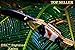 DKC Knives (29 5/18) DKC-139 TIGER FISH Bass Trout Fishing Pocket Folding Damascus Hunting Knife Brass & Bone Folded 7.7oz Great Fisherman Gift Bass Fishing Work of Art ! FISHANA SERIES