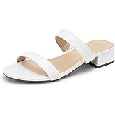 DREAM PAIRS Women's Slides Heels Slip On Low Block Sandals Two Strap Open Round Toe Chunky Casual Summer Mules Shoes