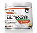 Ground-Based Nutrition Certified Organic Electrolyte Powder, 100% Plant-Based Hydration Formula: Rehydrate & Recover Faster from Hard Workouts, Delicious Pineapple Coconut Flavor, No Added Sugar