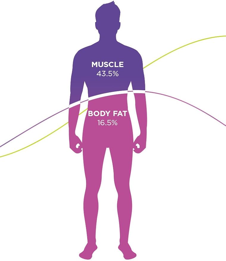 tomtom body composition