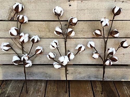 Cotton Stems - Set of 3 Stems - 20 Inches Tall - 10 Bolls per Stem