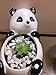 Succulent Pots,Cute Animal Shaped Air Plant Holder Flower Planters-Plants Not in Included (Panda)