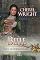 Livro Belle (Natal em Dewberry Lane Livro 4)